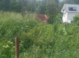 Residential Land for Sale in Pathanamthitta, Pathanamthitta, Kaipattoor, Government Vocational Higher Secondary School Kaipattoor