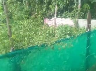 Residential Land for Sale in Pathanamthitta, Pathanamthitta, Kaipattoor, Government Vocational Higher Secondary School Kaipattoor