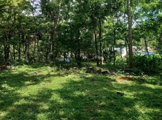 Residential Land for Sale in Thrissur, Kodakara, Kodaly, LP School Kodaly