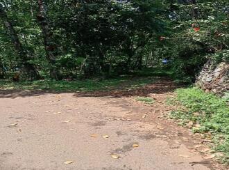 Residential Land for Sale in Thrissur, Kodakara, Kodaly, LP School Kodaly