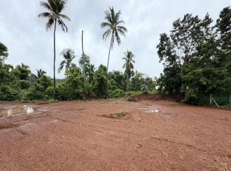 Residential Land for Sale in Thrissur, Mundur, Mundur, Avanur, Near Old Anupama Theatre, Thrissur