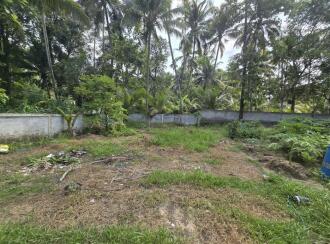 Residential Land for Sale in Thrissur, Guruvayur, Mullassery, Pavaratty Mrugaspathri Road