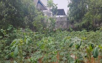 Residential Land for Sale in Ernakulam, Perumbavoor, Koovappady, Thottuva(Koovappady- Kodanad road)