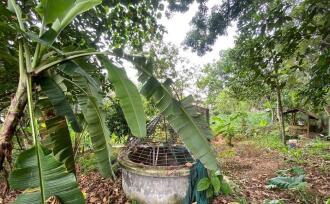 Residential Land for Sale in Ernakulam, Perumbavoor, Koovappady, Thottuva(Koovappady- Kodanad road)