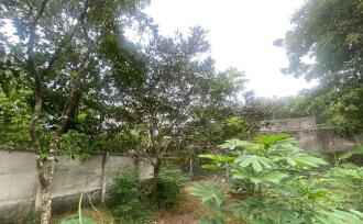 Residential Land for Sale in Ernakulam, Perumbavoor, Koovappady, Thottuva(Koovappady- Kodanad road)