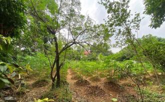 Residential Land for Sale in Ernakulam, Perumbavoor, Koovappady, Thottuva(Koovappady- Kodanad road)