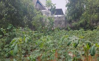 Residential Land for Sale in Ernakulam, Perumbavoor, Koovappady, Thottuva(Koovappady- Kodanad road)