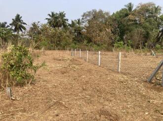 വാസയോഗ്യമായ ഭൂമി വില്പനയ്ക്ക് പാലക്കാട്, Palakkad, Muttikulagara