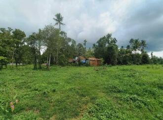 Residential Land for Sale in Ernakulam, Angamaly, Angamaly, Near Kallupalam Bridge