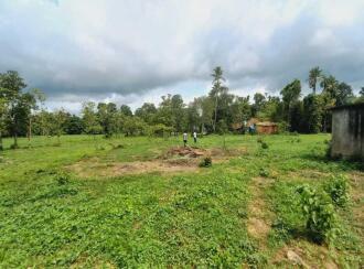 Residential Land for Sale in Ernakulam, Angamaly, Angamaly, Near Kallupalam Bridge