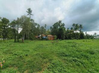 Residential Land for Sale in Ernakulam, Angamaly, Angamaly, Near Kallupalam Bridge