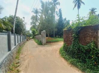 Residential Land for Sale in Ernakulam, Angamaly, Angamaly, Near Kallupalam Bridge