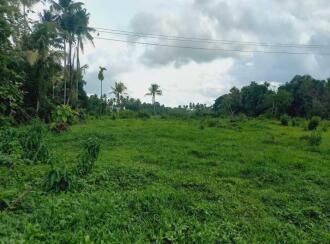 Residential Land for Sale in Ernakulam, Angamaly, Angamaly, Near Kallupalam Bridge