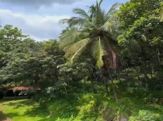 Residential Land for Sale in Pathanamthitta, Pathanamthitta, Vechoochira, Vechoochira