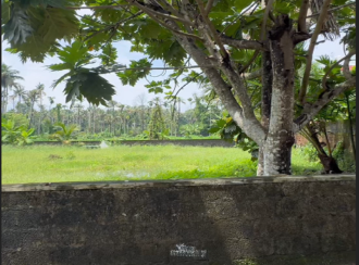 Residential Land for Sale in Ernakulam, Aluva, Asokapuram, Parekattil road
