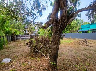 Residential Land for Sale in Alleppey, Alappuzha, Paravoor, Near chakkittaparambu kshethram