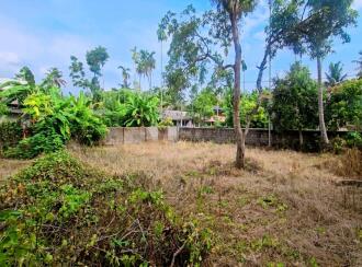 Residential Land for Sale in Alleppey, Alappuzha, Paravoor, Near chakkittaparambu kshethram