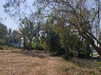 Residential Land for Sale in Palakkad, Vadakkencherry, Vadakkencherry