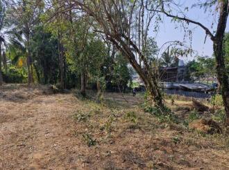 Residential Land for Sale in Palakkad, Vadakkencherry, Vadakkencherry