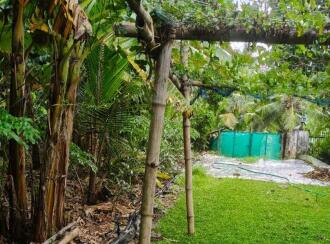 Residential Land for Sale in Kottayam, Kottayam town, Medical college, Panampalam - Kumaranellur road
