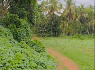 Agricultural Land for Sale in Kasargod, Karadukka, Paniya, 200 Meter from Mulleria-Badiaduka Highway
