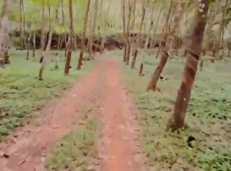 Agricultural Land for Sale in Kasargod, Karadukka, Paniya, 200 Meter from Mulleria-Badiaduka Highway