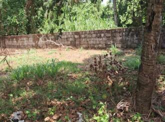 Residential Land for Sale in Ernakulam, Tripunithura, Tripunithura, Vymithi Road