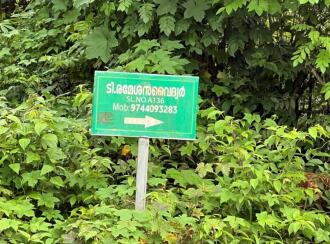 Residential Land for Sale in Kannur, Thaliparamba, Kurumathur, Pokkundu Vythala road
