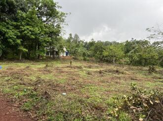 Residential Land for Sale in Kannur, Thaliparamba, Kurumathur, Pokkundu Vythala road