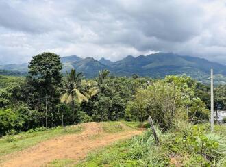 Commercial Land for Sale in Wayanad, Kalpetta, Padinharethara, THENGUMUNDA
