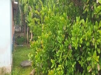 Residential House Villa for Sale in Kollam, Kundara, East kallada, Pazayar Ward East Kallada