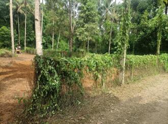 Residential Land for Sale in Alleppey, Chengannur, Mangalam, Maruppacha