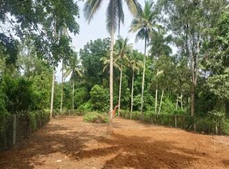 Residential Land for Sale in Alleppey, Chengannur, Mangalam, Maruppacha