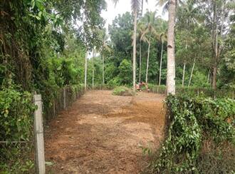 Residential Land for Sale in Alleppey, Chengannur, Mangalam, Maruppacha
