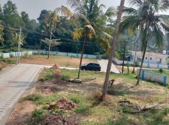 Residential Land for Sale in Trivandrum, Thiruvananthapuram, Technopark, Technopark Street