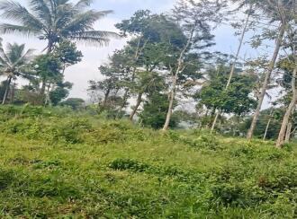 Commercial Land for Sale in Wayanad, Sulthan bathery, Sultan Bathery, odaoopaalam