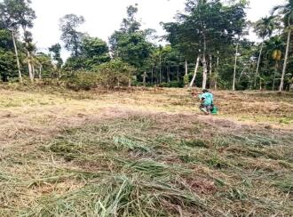 Commercial Land for Sale in Wayanad, Sulthan bathery, Sultan Bathery, odaoopaalam