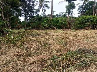 Commercial Land for Sale in Wayanad, Sulthan bathery, Sultan Bathery, odaoopaalam