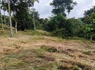 Commercial Land for Sale in Wayanad, Sulthan bathery, Sultan Bathery, odaoopaalam