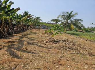 Residential Land for Sale in Pathanamthitta, Adoor, Adoor