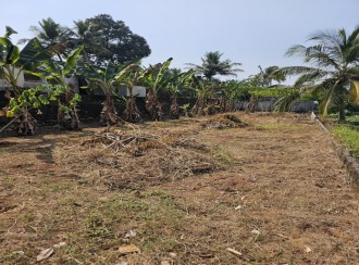 Residential Land for Sale in Pathanamthitta, Adoor, Adoor