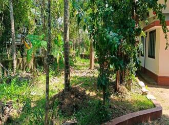 വാസയോഗ്യമായ ഭൂമി വില്പനയ്ക്ക് Kannur, Payyanur, Kunchimangalam , Edanad east