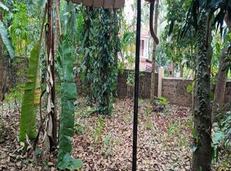 വാസയോഗ്യമായ ഭൂമി വില്പനയ്ക്ക് Kannur, Payyanur, Kunchimangalam , Edanad east
