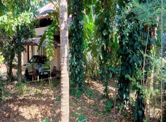 വാസയോഗ്യമായ ഭൂമി വില്പനയ്ക്ക് Kannur, Payyanur, Kunchimangalam , Edanad east