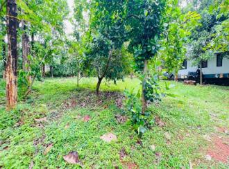 Residential Land for Sale