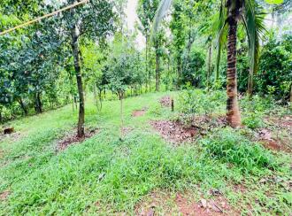 Residential Land for Sale in Palakkad, Palakkad, Mundur, Thalapotta