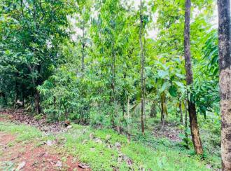 Residential Land for Sale in Palakkad, Palakkad, Mundur, Thalapotta