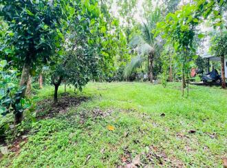 Residential Land for Sale in Palakkad, Palakkad, Mundur, Thalapotta
