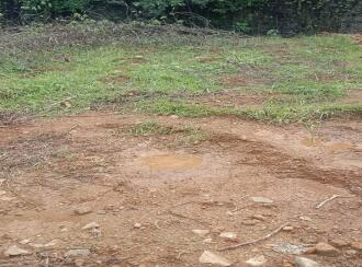 Residential Land for Sale in Kottayam, Pala, Vallichira