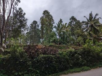 Residential Land for Sale in Kottayam, Erumeli, Erumeli, kuruvamuzhy